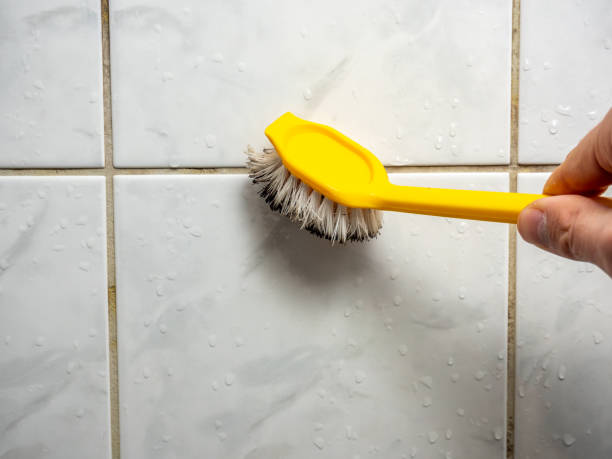 Best Mold Damage Repair  in Jacksonville, NC